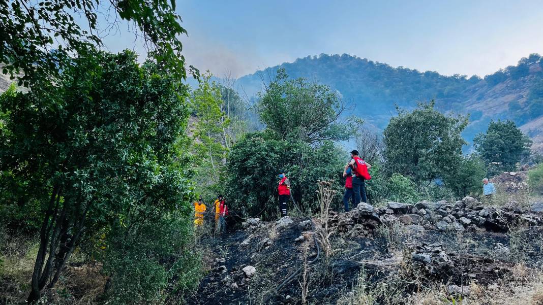 Adıyaman'daki yangınlarda 14 hektar alan zarar gördü 4